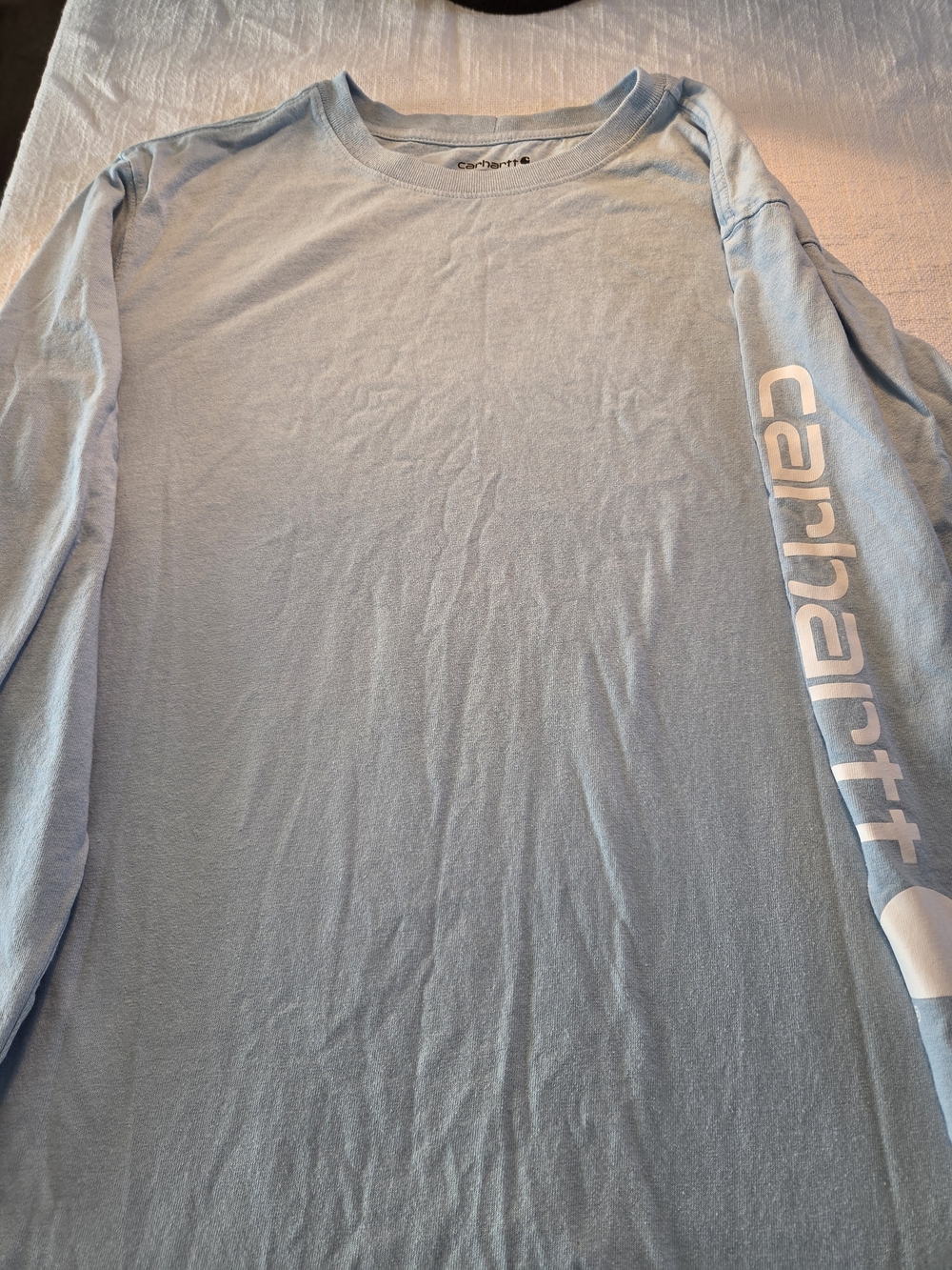 Carhartt Men’s Long-Sleeve Logo Tee — Light Blue with White Sleeve Print